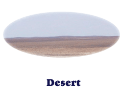 Deserts & Oasis